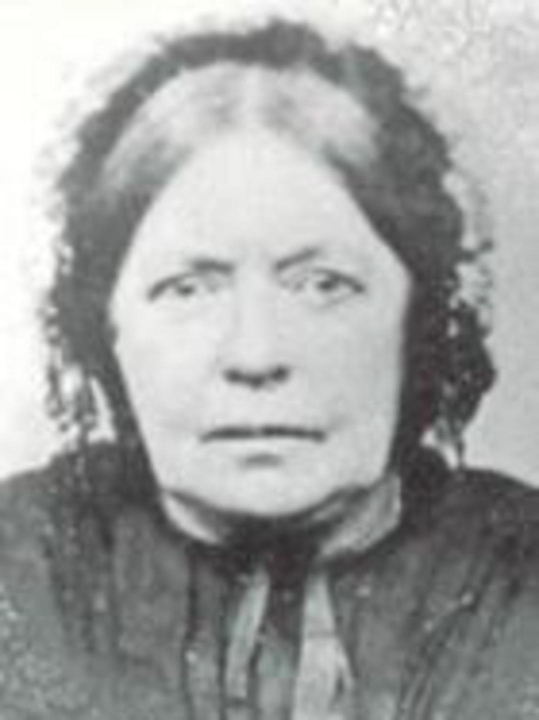Sarah Louise Lowe (1806 - 1864) Profile